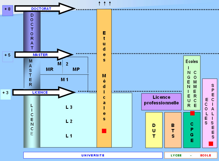 Schéma études supérieures